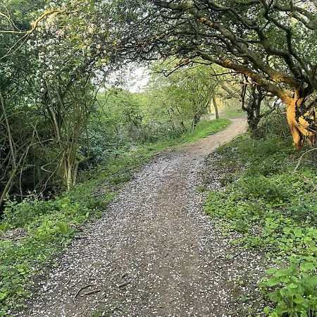 Casa vacanze Seascape *