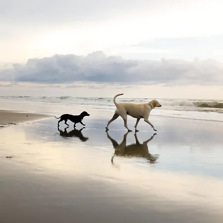 Casa vacanze Seascape *