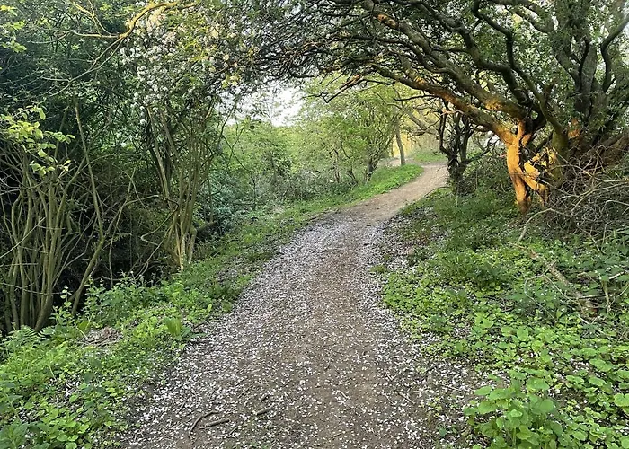 Hébergement de vacances Seascape - Part Of The The Bay Village With Pool, Gym And Direct Access, Pub, Restaurant, Tennis And Meadows Walks *