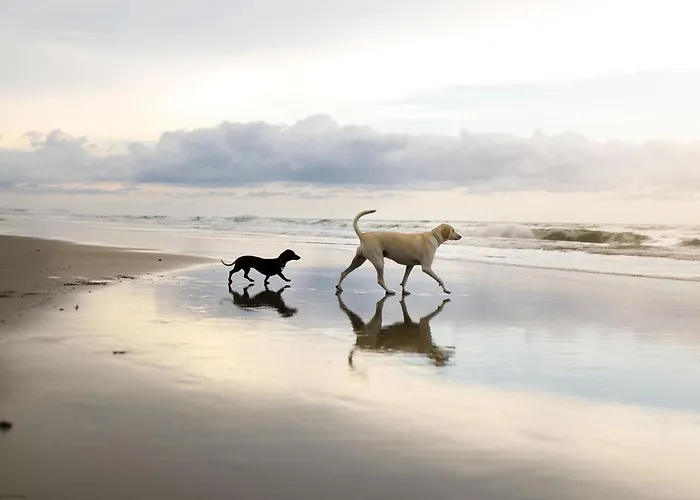 Hébergement de vacances Seascape - Part Of The The Bay Village With Pool, Gym And Direct Access, Pub, Restaurant, Tennis And Meadows Walks *